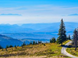 Segesvári kalandorok