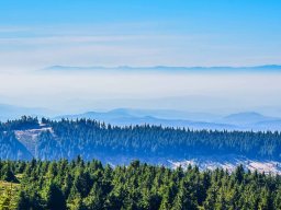 Segesvári kalandorok