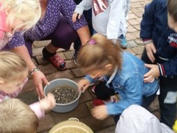 Október a csodavárban