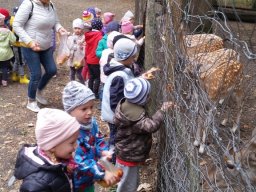 Október a csodavárban