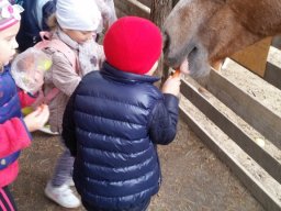 Október a csodavárban