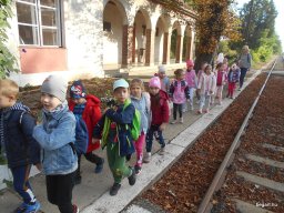 Almaszedés Csorváson