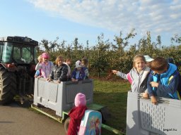 Almaszedés Csorváson