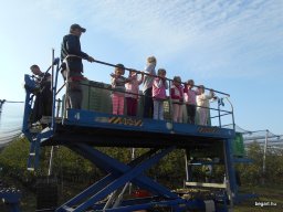 Almaszedés Csorváson