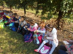 Almaszedés Csorváson