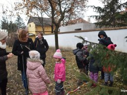 December a Zengőerdőben