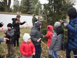 December a Zengőerdőben