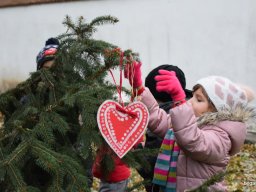 December a Zengőerdőben