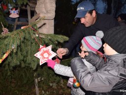December a Zengőerdőben