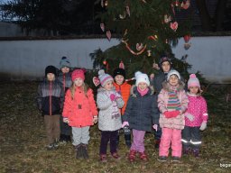 December a Zengőerdőben