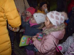 December a Zengőerdőben