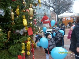 December a Zengőerdőben