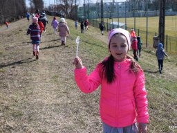 Konc Király és Cibere vajda