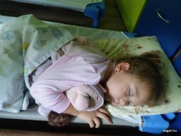 Új kicsik az óvodában