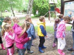 Kirándulnak a Zengőerdő csoportos gyerekek