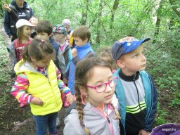Kirándulnak a Zengőerdő csoportos gyerekek