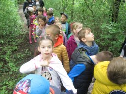 Kirándulnak a Zengőerdő csoportos gyerekek