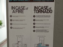 Hamarosan érkezik az új amerikai tanárgyakornok