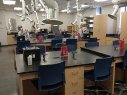 Hamarosan érkezik az új amerikai tanárgyakornok