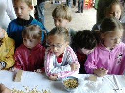 BioRitmus Fesztiválon a Ligetben