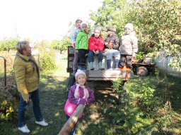 Állatok világnapja