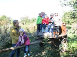 Állatok világnapja