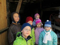 Állatok világnapja