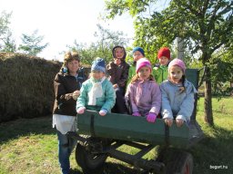 Állatok világnapja