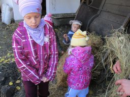 Állatok világnapja