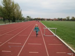 Nagyok az Előre pályán