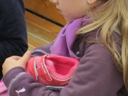 Nagyok az Előre pályán