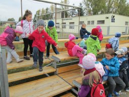 Nagyok az Előre pályán