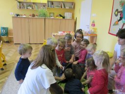 Mindennapok a Zengőerdő csoportban