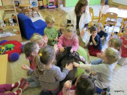 Mindennapok a Zengőerdő csoportban