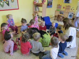 Mindennapok a Zengőerdő csoportban