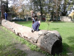 A LIGETI JÁTSZÓTÉREN