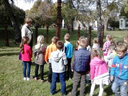 AZ ARADI VÉRTANÚK NAPJA