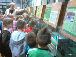 HÜLLŐKIÁLLÍTÁSON