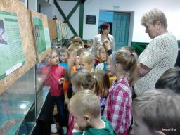 HÜLLŐKIÁLLÍTÁSON