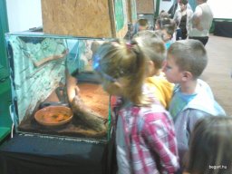 HÜLLŐKIÁLLÍTÁSON