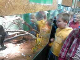 HÜLLŐKIÁLLÍTÁSON