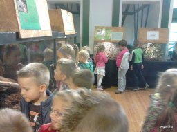 HÜLLŐKIÁLLÍTÁSON