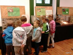 HÜLLŐKIÁLLÍTÁSON