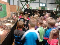 HÜLLŐKIÁLLÍTÁSON