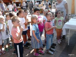 KÖZFOGLALKOZTATOTTAK NAPJÁN