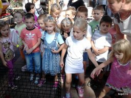 KÖZFOGLALKOZTATOTTAK NAPJÁN