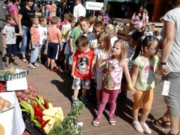 KÖZFOGLALKOZTATOTTAK NAPJÁN