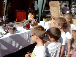 KÖZFOGLALKOZTATOTTAK NAPJÁN