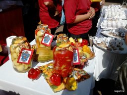 KÖZFOGLALKOZTATOTTAK NAPJÁN