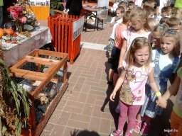 KÖZFOGLALKOZTATOTTAK NAPJÁN